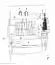 Fig. 02 - Printing press having at least one machine unit with at least one of a power line and a data line installed in the at least one machine unit