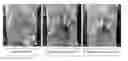 Fig. 01 - PULLULAN REPLACEMENTS FOR FILMS AND COATINGS