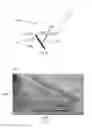 Fig. 11 - Foldable Laptop Stand
