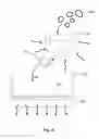 Fig. 13 - Methods and apparatus for manufacturing monocrystalline cast silicon and monocrystalline cast silicon bodies for photovoltaics