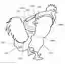 Fig. 01 - Poultry harness diaper