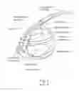 Fig. 02 - NASAL MASK ASSEMBLY