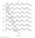 Fig. 07 - Manipulation of magnetic particles in conduits for the propagation of domain walls