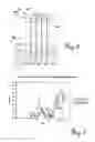 Fig. 04 - ELECTRODES FOR ELECTROLYSIS OF WATER