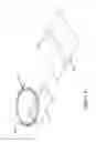Fig. 05 - Medical device packaging and methods for preparing and packaging medical devices