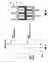 Fig. 08 - LATERAL DISPLACEMENT ARRAY FOR MICROFILTRATION