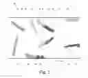 Fig. 04 - Sorting device and method for separating products in a random stream of bulk inhomogeneous products