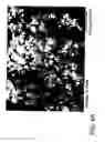Fig. 08 - Porous block nanofiber composite filters