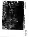 Fig. 09 - Porous block nanofiber composite filters