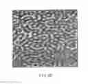 Fig. 03 - Method for manufacturing porous structure and method for forming pattern