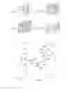 Fig. 04 - Method for manufacturing porous structure and method for forming pattern