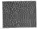 Fig. 01 - Method for manufacturing porous structure and method for forming pattern