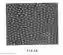 Fig. 02 - Method for manufacturing porous structure and method for forming pattern