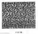 Fig. 03 - Method for manufacturing porous structure and method for forming pattern