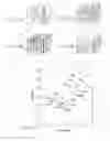 Fig. 04 - Method for manufacturing porous structure and method for forming pattern