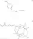 Fig. 23 - Method for manufacturing porous structure and method for forming pattern