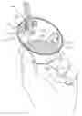 Fig. 01 - Condiment and sauce container with gripping area