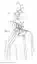 Fig. 07 - MANUAL TRANSPORTATION OF ARTICLES