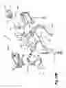 Fig. 12 - Wobble assembly for fluid pumping mechanism