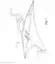 Fig. 05 - SUPERSONIC FLYING WING