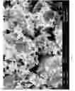 Fig. 09 - Mixed phosphate-diphosphate electrode materials and methods of manufacturing same