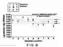 Fig. 09 - Spray drying methods and related compositions