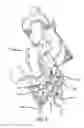 Fig. 07 - Automated plumbing, wiring, and reinforcement
