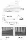 Fig. 05 - Dynamic nano-inscribing for continuous and seamless metal and polymer nanogratings
