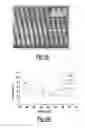 Fig. 07 - Dynamic nano-inscribing for continuous and seamless metal and polymer nanogratings