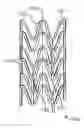 Fig. 01 - FABRICATING A STENT FORMED FROM POLYMER-BIOCERAMIC COMPOSITE WITH RADIOPAQUE BIOCERAMIC PARTICLES