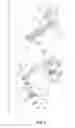Fig. 05 - Inline roller skate