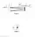 Fig. 02 - Passively mode-locked picosecond laser device