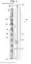 Fig. 02 - Method for aligning and handling fuel rods within a nuclear fuel bundle