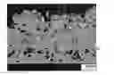 Fig. 01 - Catalyst-coated support, method for producing the same, reactor comprising the same and use thereof