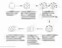 Fig. 01 - Viral nanoparticle cell-targeted delivery platform