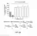 Fig. 03 - Viral nanoparticle cell-targeted delivery platform