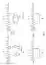 Fig. 06 - PEPTIDES THAT SPECIFICALLY BIND HGF RECEPTOR (CMET) AND USES THEREOF