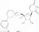 Fig. 40 - NUCLEOSIDE PRODRUGS AND USES THEREOF