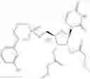 Fig. 63 - NUCLEOSIDE PRODRUGS AND USES THEREOF