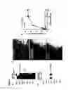 Fig. 02 - IDENTIFICATION OF SORTILIN AS A NEURONAL RECEPTOR FOR THE FRONTOTEMPORAL DEMENTIA PROTEIN, PROGRANULIN