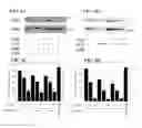 Fig. 05 - METHODS FOR SUPPRESSING AN IMMUNE RESPONSE OR TREATING A PROLIFERATIVE DISORDER
