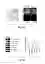 Fig. 27 - EPIGENETIC MECHANISMS RE-ESTABLISH ACCESS TO LONG-TERM MEMORY AFTER NEURONAL LOSS