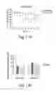 Fig. 31 - EPIGENETIC MECHANISMS RE-ESTABLISH ACCESS TO LONG-TERM MEMORY AFTER NEURONAL LOSS