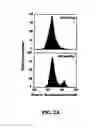 Fig. 06 - MIF antagonists