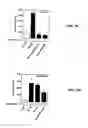 Fig. 12 - MIF antagonists