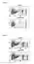Fig. 04 - IMMUNOMODULATING ACTIVITIES