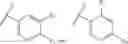 Fig. 07 - IMMUNOMODULATING ACTIVITIES