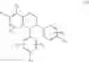 Fig. 09 - IMMUNOMODULATING ACTIVITIES