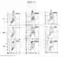 Fig. 07 - Composition for enhancing immunity containing plant stem cell line derived from cambium of including wild ginseng or ginseng as an active ingredient