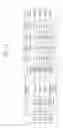 Fig. 12 - Composition for enhancing immunity containing plant stem cell line derived from cambium of including wild ginseng or ginseng as an active ingredient